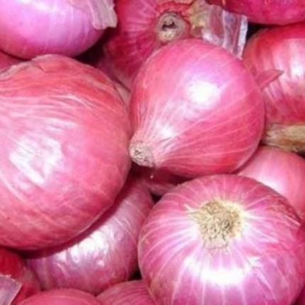 High Quality Fresh Red Onions,Organic Fresh Red Onion,Natural Fresh Red Onion Exporter