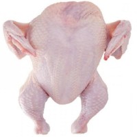 Buy Halal Frozen Whole Chicken and Parts Frozen Chicken Breast / Cheap Whole Chicken