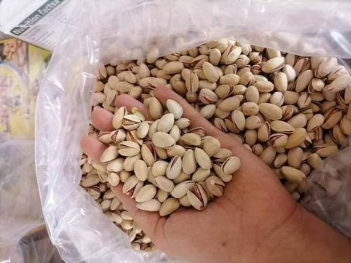 High quality pistachio dried pistachio nuts with salt pistachios