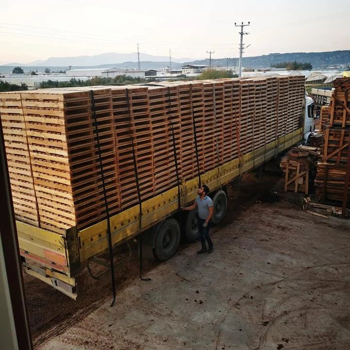 Euro EPAL stamped Wooden Pallet 1200x800 New EPAL Euro Pallets 145mm x 800mm x 1200mm