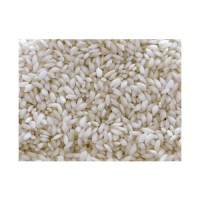 Top Quality Arborio rice