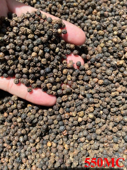 Factory Direct Sale 100% Pure Natural Single Spice Rich Fragrance 580G/L Black Pepper Order In Bulk