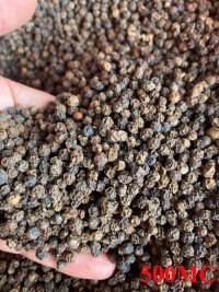 Factory Direct Sale 100% Pure Natural Single Spice Rich Fragrance 580G/L Black Pepper Order In Bulk