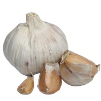 White Garlic 6.0cm Normal White Pure White Fresh Garlic Wholesale 10kg Carton Garlic