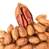 Premium Organic Roasted and Fresh Pecan Nuts inshell Pecans Raw Pecan Nuts For Wholesale