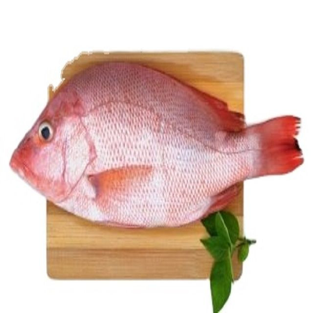 Seafood Fresh Frozen Red Tilapia Fish Red Snapper Tilapia Fish for Tilapia Fish Red Buyers