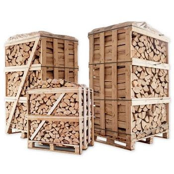 Supplier Oak Beech Dry Firewood/Firewood in 40l Bags For Cheap Sale