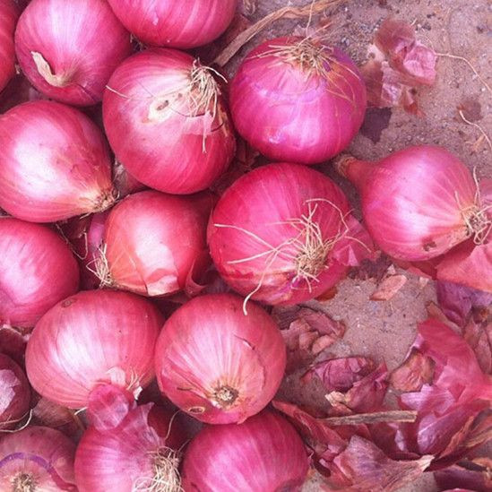 Big Red Onion Exporters Offer Fresh Yellow Onion round Pattern Purple Onion Peelings