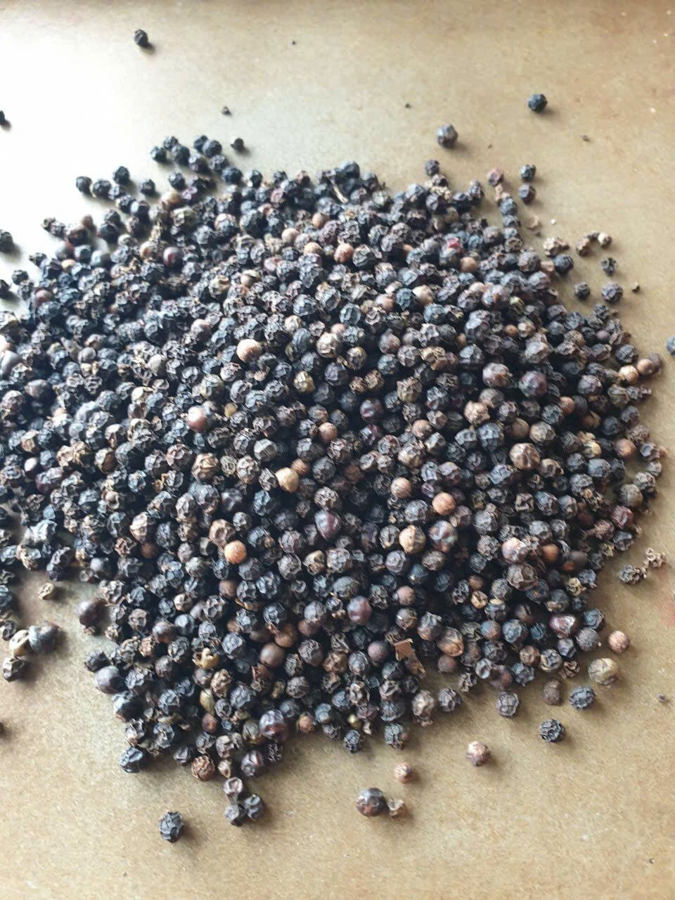 Hot Selling High quality bulk black pepper for wholesale from Vietnam