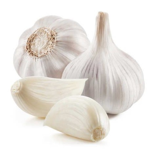 Fresh Garlic/ Pure White Normal Garlic 4.5cm 5.0cm 5.5cm 6.0cm Available In Bulk