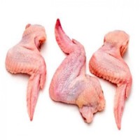 Bulk chicken wing for sale / Frozen Chicken wings for wholesale / Fresh chicken wings for wholesale