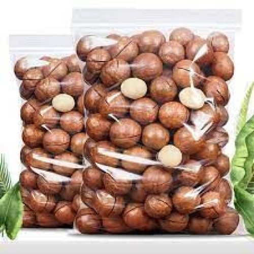 Organic Macadamia Premium Grade High Quality Nuts With Shell Raw Bulk Nuts Macadamia Nuts Wholesales price