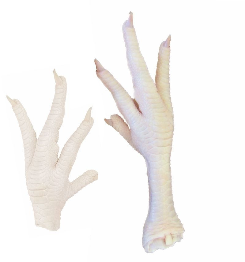 Cheap Fresh Frozen Chicken Feet Bag OEM Block Chicken Feet Packaging