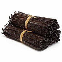 Premium Quality Vanilla Beans for Sale in Bulk Wholesale with Natural Raw Organic Vanilla Beans for Cooking