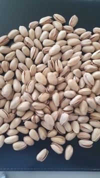 Wholesale Dried Pistachio Nuts Organic Roasted Raw Pistachio Nuts Healthy Snack Pistachio Nut