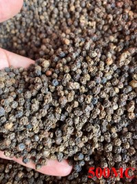 Pure Vietnam Black Pepper Dried 500gl Hight Quality Best Price Factory in Vietnam 100% Nature Wholesale