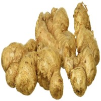 New Dried Ginger For Wholesale Dry Ginger In Bulk Fresh Chinese Ginger For Sale Low Price