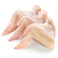 Bulk chicken wing for sale / Frozen Chicken wings for wholesale / Fresh chicken wings for wholesale