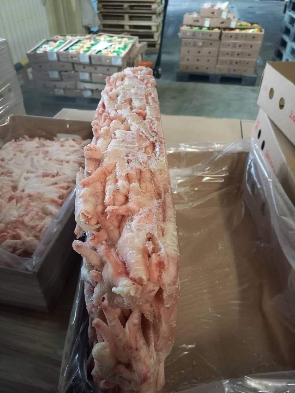 Halal Frozen Chicken paws / Frozen Chicken Paws Brazil Origin