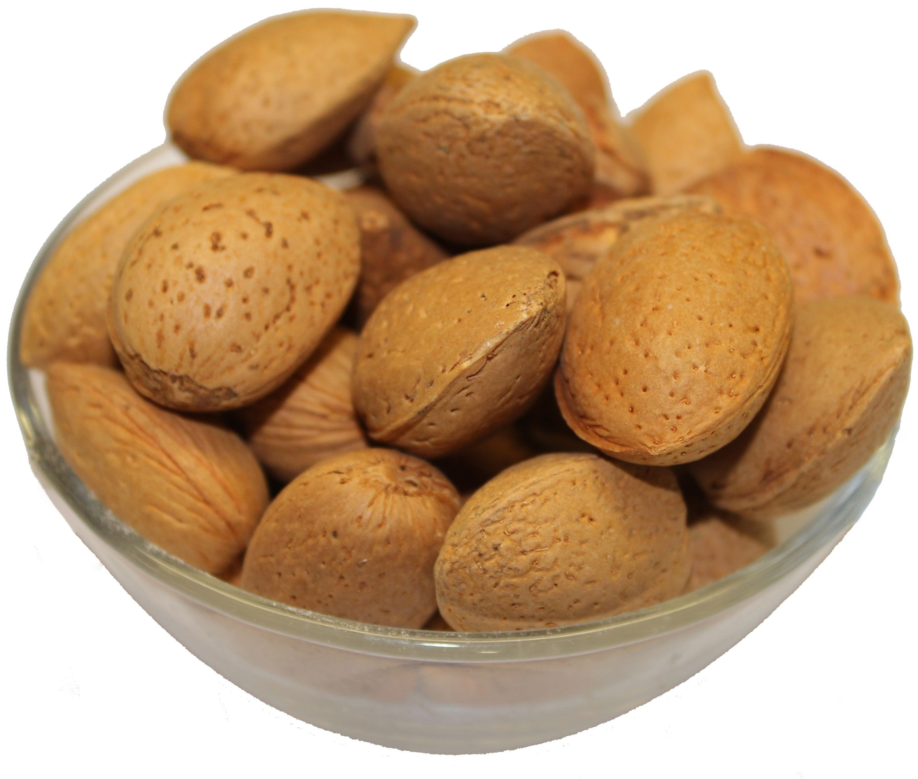 Wholesale Delicious and Healthy Raw Almond Nuts Organic Almonds In Bulk Cheap Price