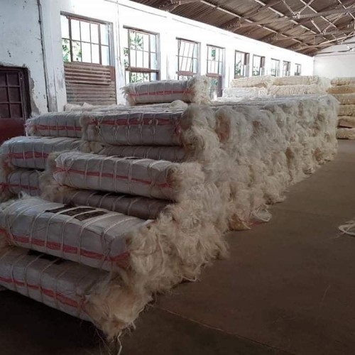 Top quality Sisal fiber Grade 1 wholesale prices