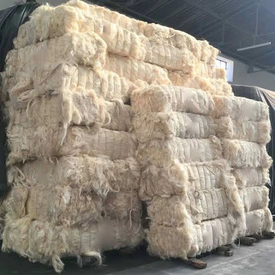 Top quality Sisal fiber Grade 1 wholesale prices