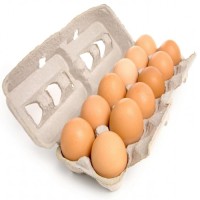 Broiler Chicken Eggs / Round Table Eggs for Sale / fertile hatching eggs