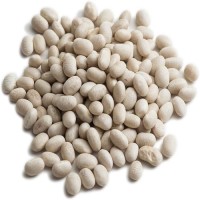 Hot Selling Good Quality Healthy Long White Sugar Bean Dry White Kidney Beans Natur