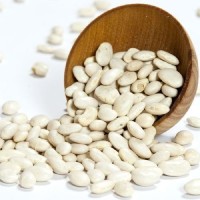 Hot Selling Good Quality Healthy Long White Sugar Bean Dry White Kidney Beans Natur