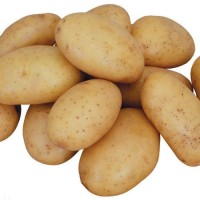 Potato Fresh Sweet Potatoes High Quality Cheap Price Professional Export Wholesalers Fresh Potato