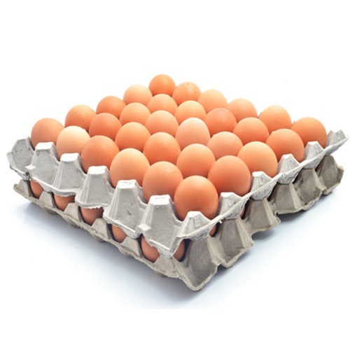 Broiler Chicken Eggs / Round Table Eggs for Sale / fertile hatching eggs