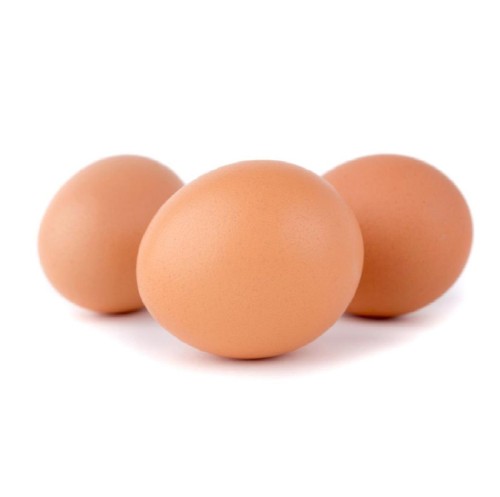 Best Quality Fresh Brown Table Chicken Eggs  For sale