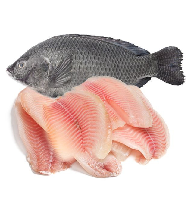 Seafood Fresh Frozen Red Tilapia Fish Red Snapper Tilapia Fish for Tilapia Fish Red Buyers