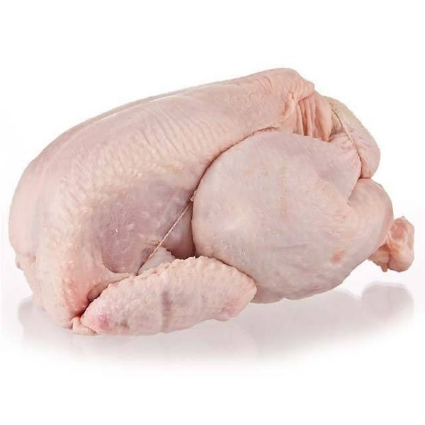 Buy Halal Frozen Whole Chicken and Parts Frozen Chicken Breast / Cheap Whole Chicken