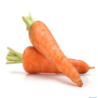 Fresh organic vegetables wholesale carrot Good price carrots available for export