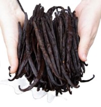 Premium Quality Vanilla Beans for Sale in Bulk Wholesale with Natural Raw Organic Vanilla Beans for Cooking