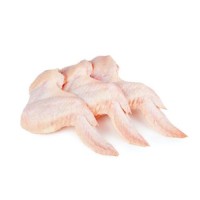 Bulk chicken wing for sale / Frozen Chicken wings for wholesale / Fresh chicken wings for wholesale