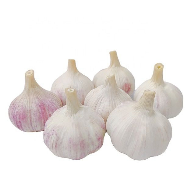 White Garlic 6.0cm Normal White Pure White Fresh Garlic Wholesale 10kg Carton Garlic