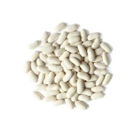 Hot Selling Good Quality Healthy Long White Sugar Bean Dry White Kidney Beans Natur