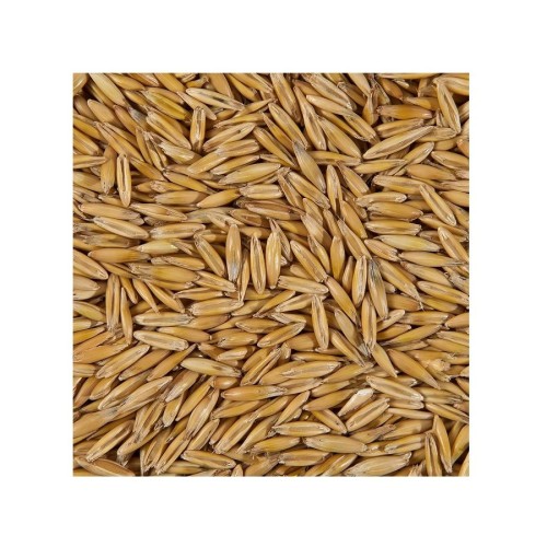 Wholesale Grain Oats