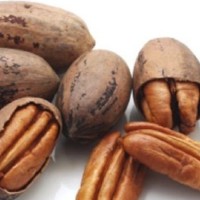 Best Quality New Crop Good Quality Almond Walnut Pecan Pistachio Pecan Nuts Raw 100%Natural Pecan Nuts