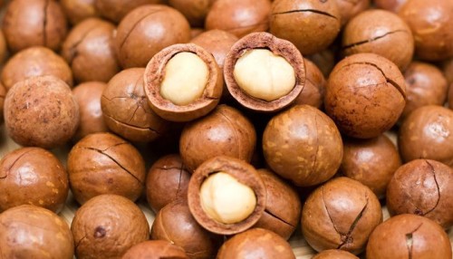 Macadamia Nuts