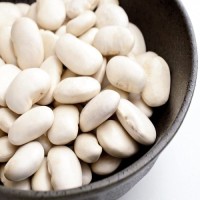 High Quality Organic Dried White Kidney Beans Available For Sale At Low Price