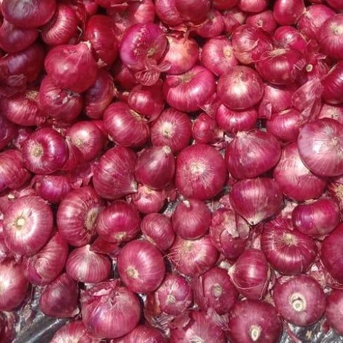 Big Red Onion Exporters Offer Fresh Yellow Onion round Pattern Purple Onion Peelings