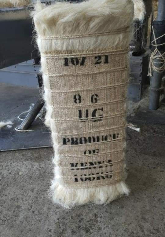 Natural Raw Sisal Fiber/UG Sisal Fibre /Bleaching Sisal Fiber for Gypsum Worldwide Delivery