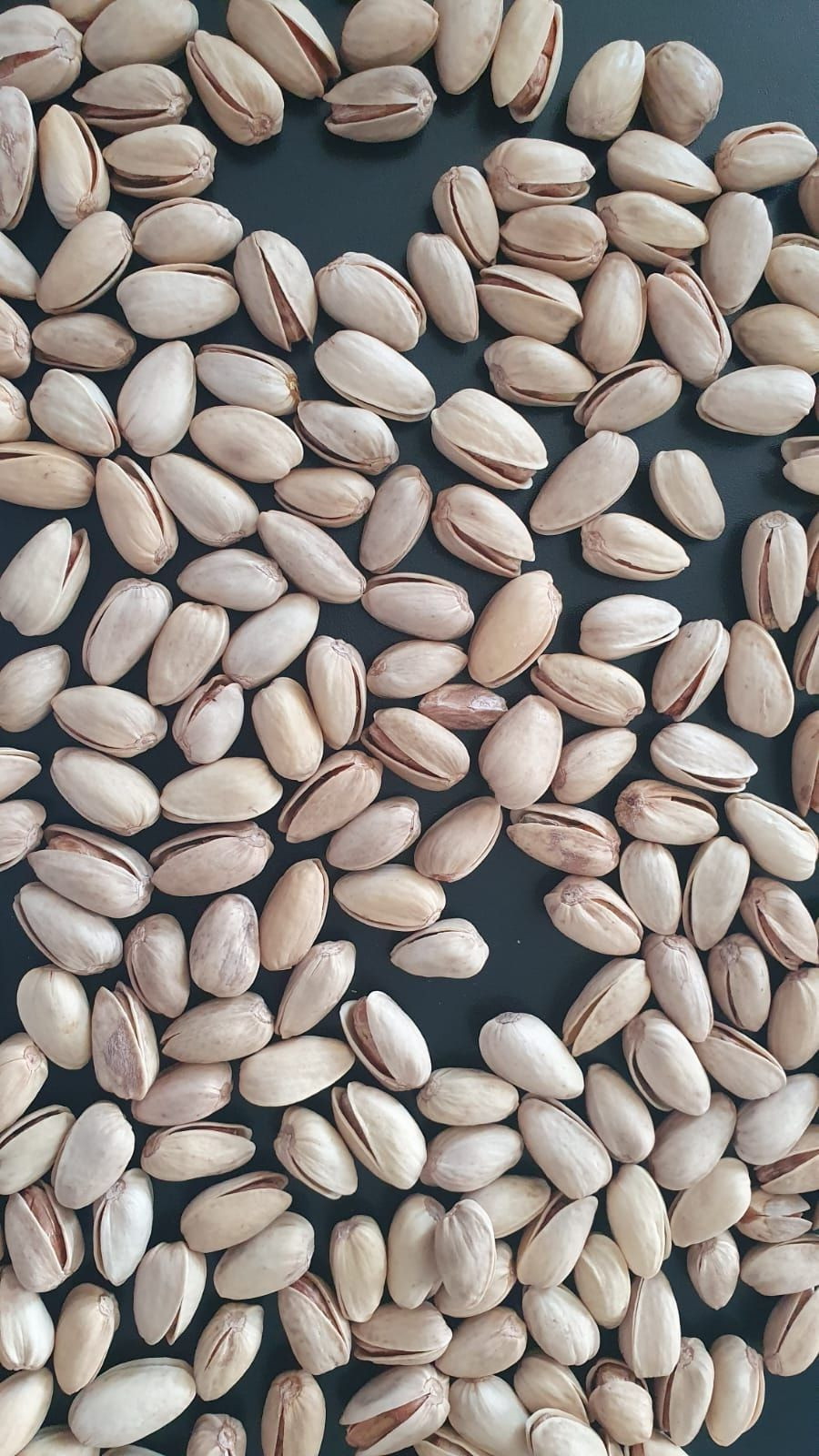 Bulk Sale Pistachios, In Shell Extra Large (Dry/Roasted/Salt), Pistachio Nuts Ready