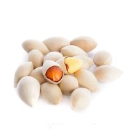 Certified Frozen Ginkgo Nut/high grade ginkgo nuts for sale/buy bulk ginkgo nuts