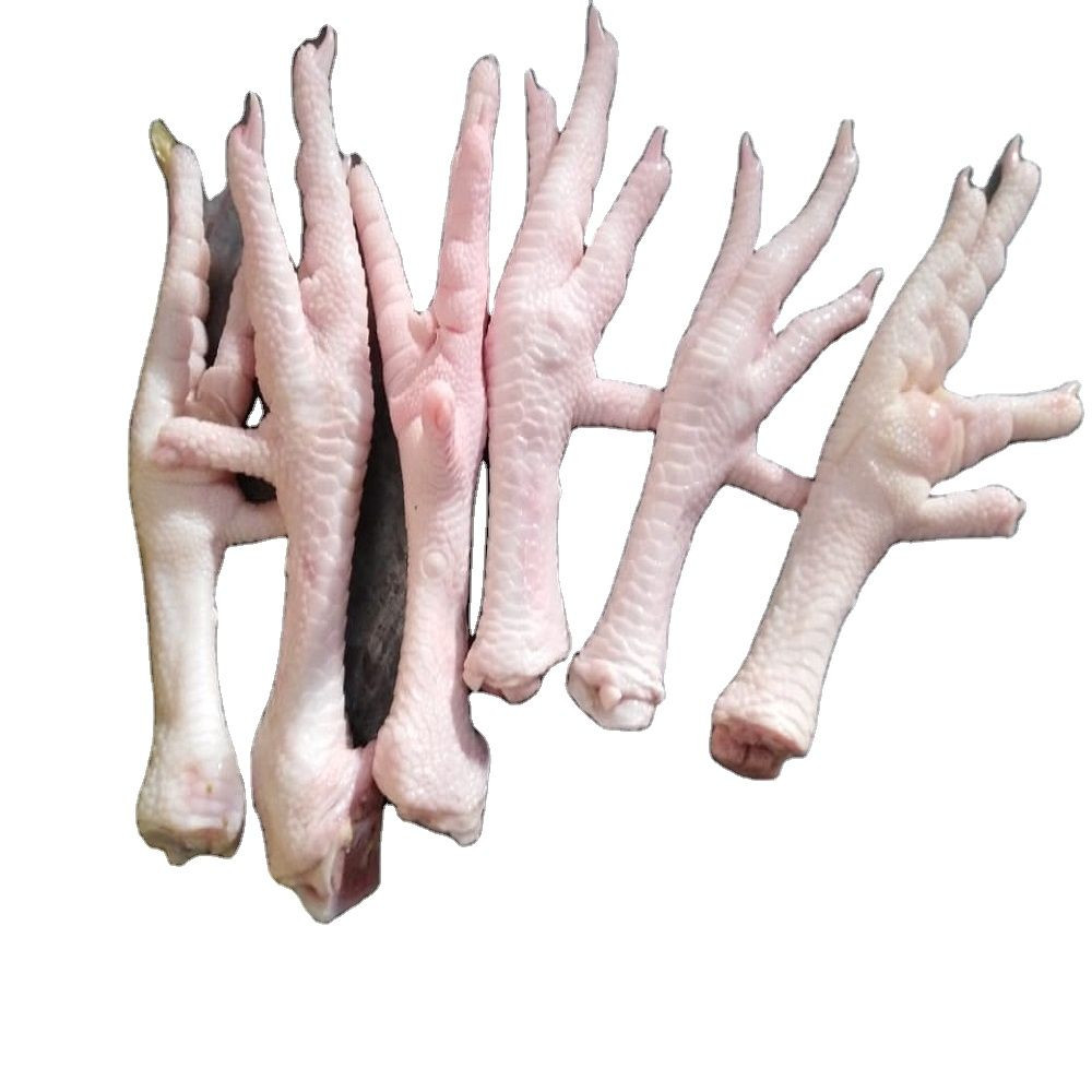 Quality Chicken Halal Frozen Chicken paws For Good Price Export Frozen Chicken Feet for wholesale