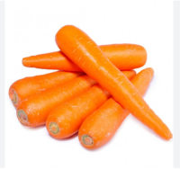 Fresh organic vegetables wholesale carrot Good price carrots available for export