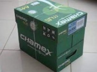 Premium Quality Chamex A4 copy paper 80GSM/75GSM/70GSM/